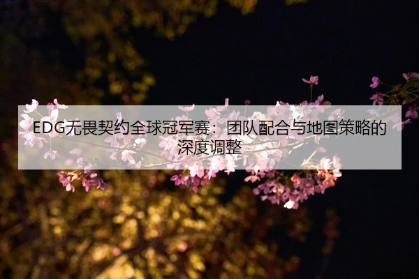 EDG无畏契约全球冠军赛：团队配合与地图策略的深度调整