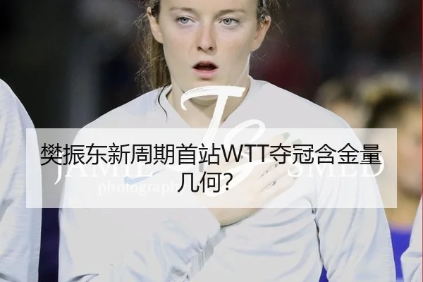 樊振东新周期首站WTT夺冠含金量几何？
