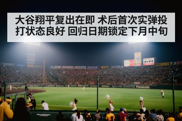 baseball stadium night