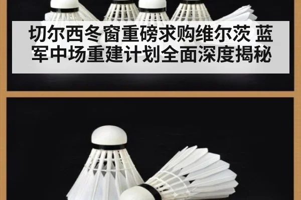 切尔西冬窗重磅求购维尔茨 蓝军中场重建计划全面深度揭秘